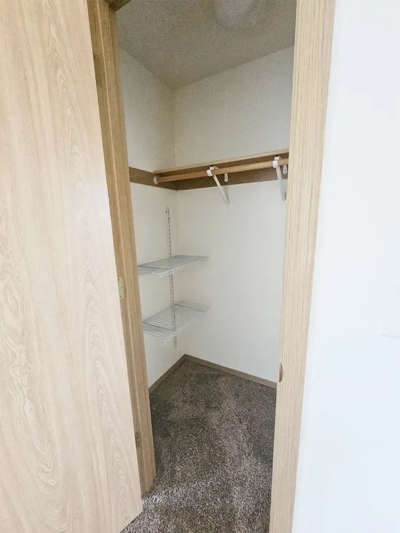 Empty walk-in closet with white shelves, hanging rod, and carpeted floor with the door open.