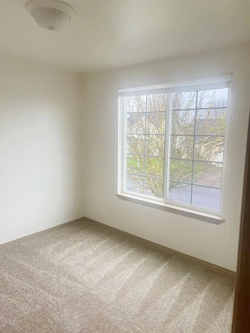 Empty beige bedroom with carpeted floor and a sunlit window.