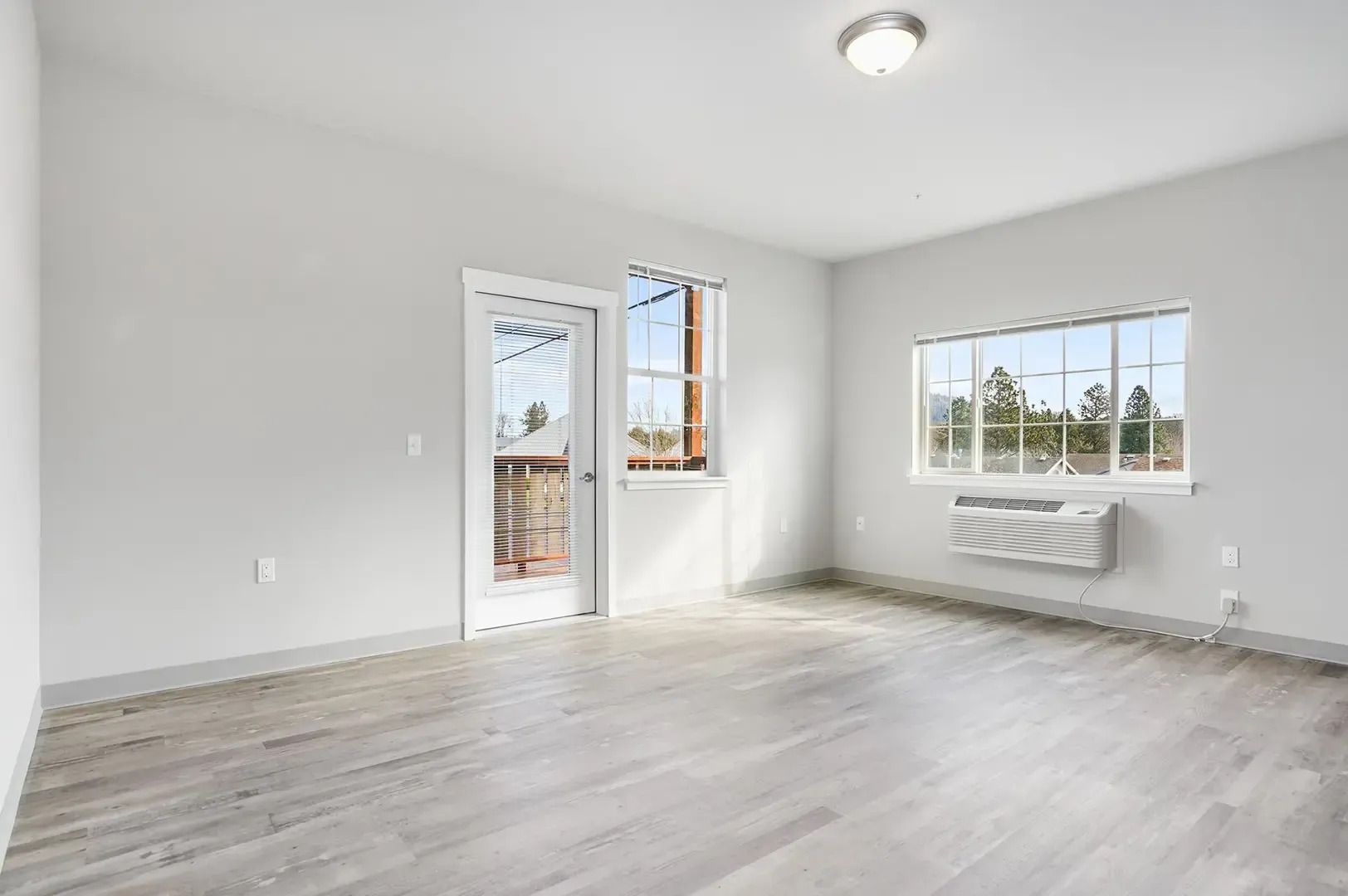 Empty white room with gray wood flooring, open door, and window light.