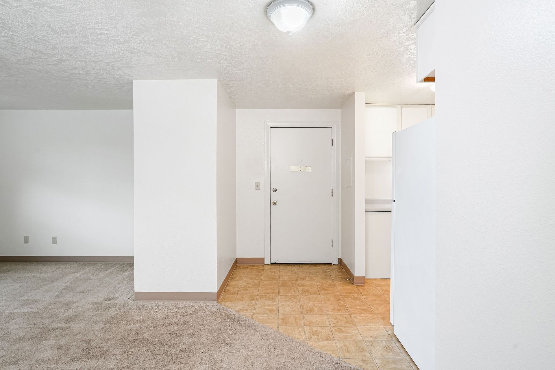 Empty apartment entryway with white walls, beige carpet, and a front door.