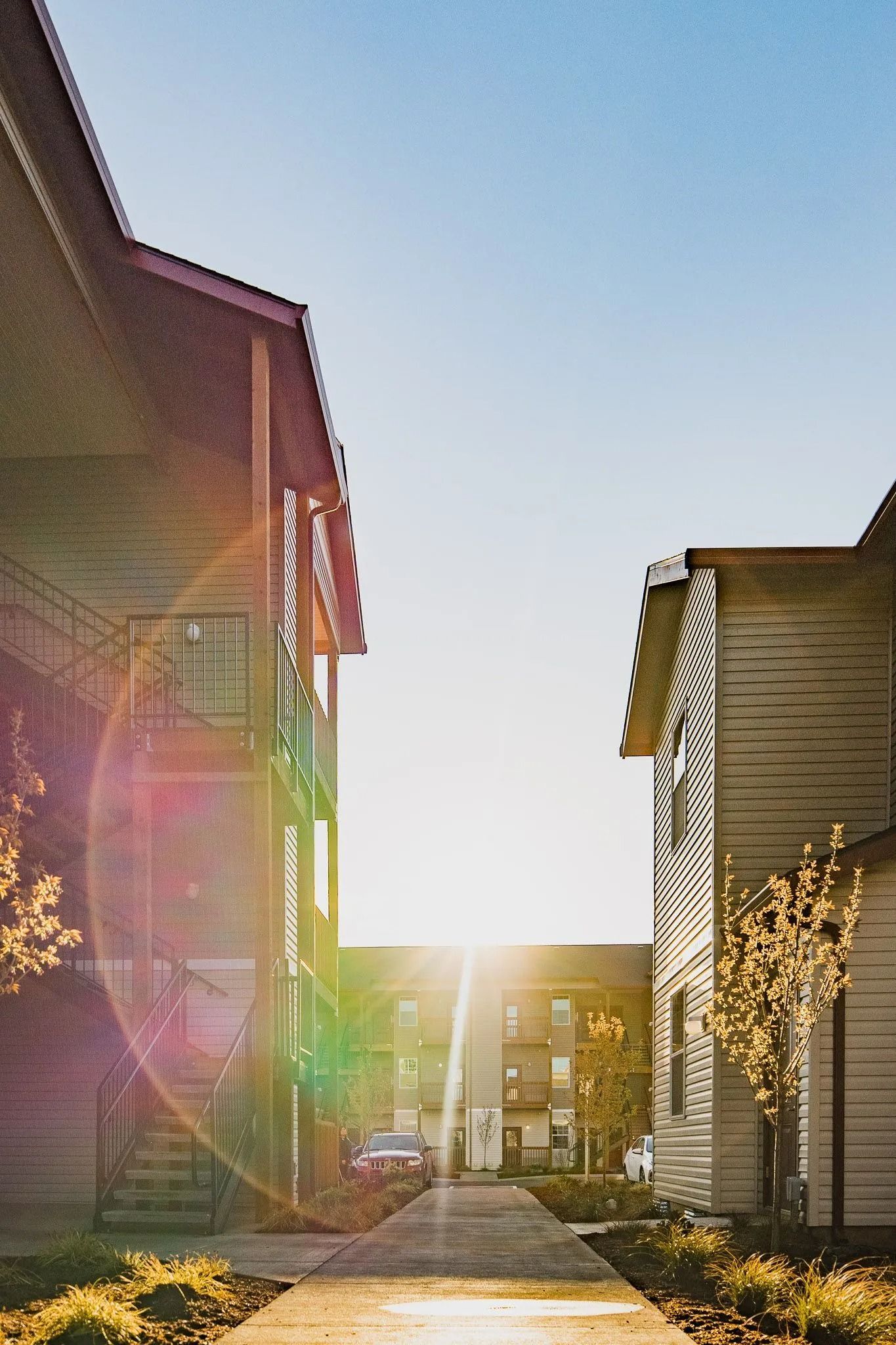 Sunlit walkway between modern buildings with lens flare and trees at dusk