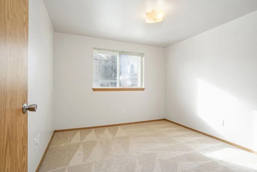 Empty beige bedroom with white walls, window, and carpeted floor