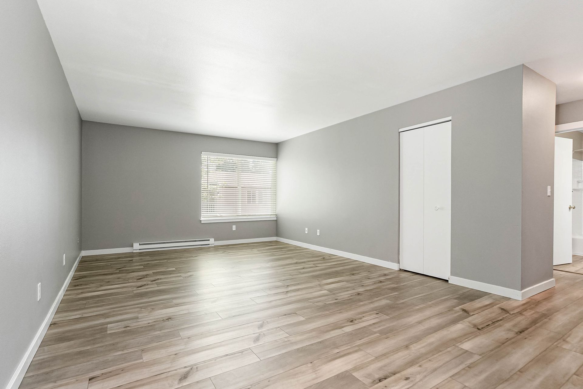 Empty gray living room with light wood floors, white trim, and a window with blinds.