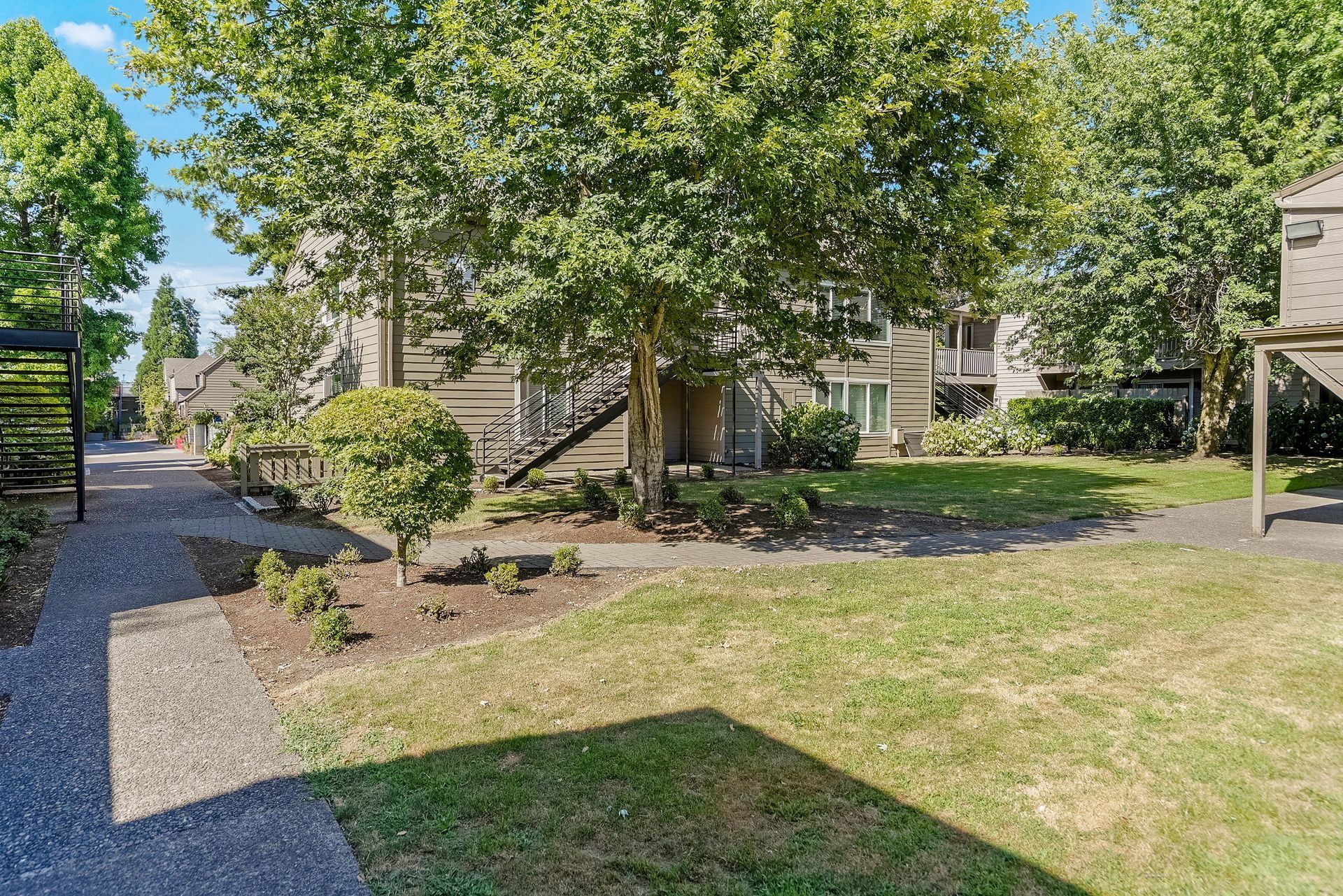 Residential backyard with a large tree, gravel path, lawn, and neighboring houses in the background