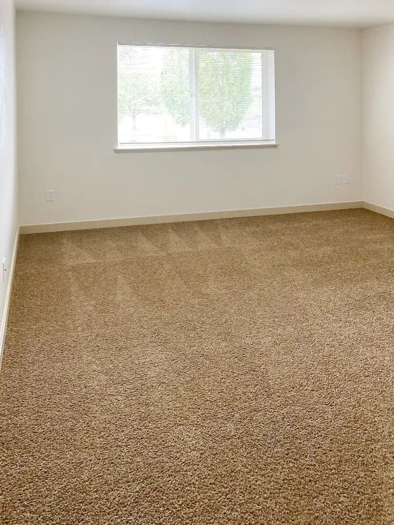 Empty carpeted room with white walls and a window letting in daylight