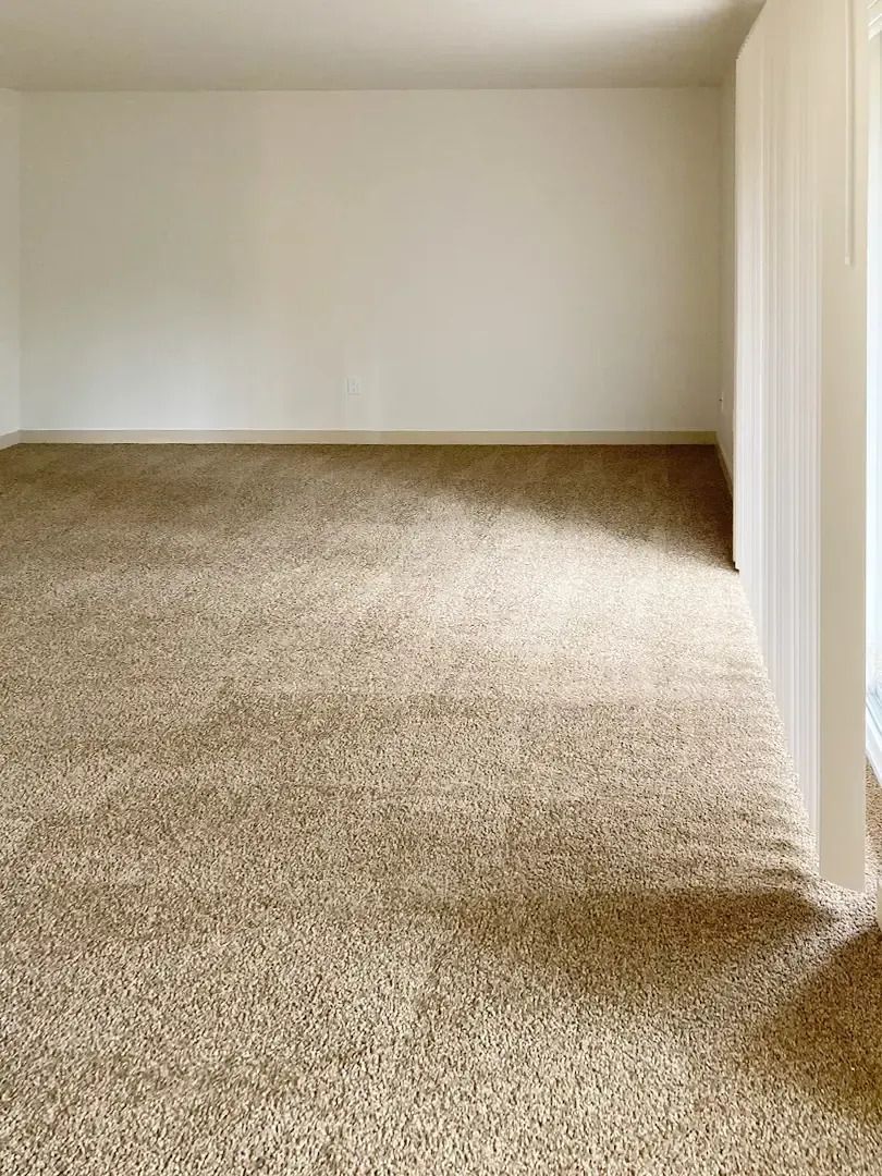 Empty carpeted room with white walls and sunlight casting a shadow along the right side