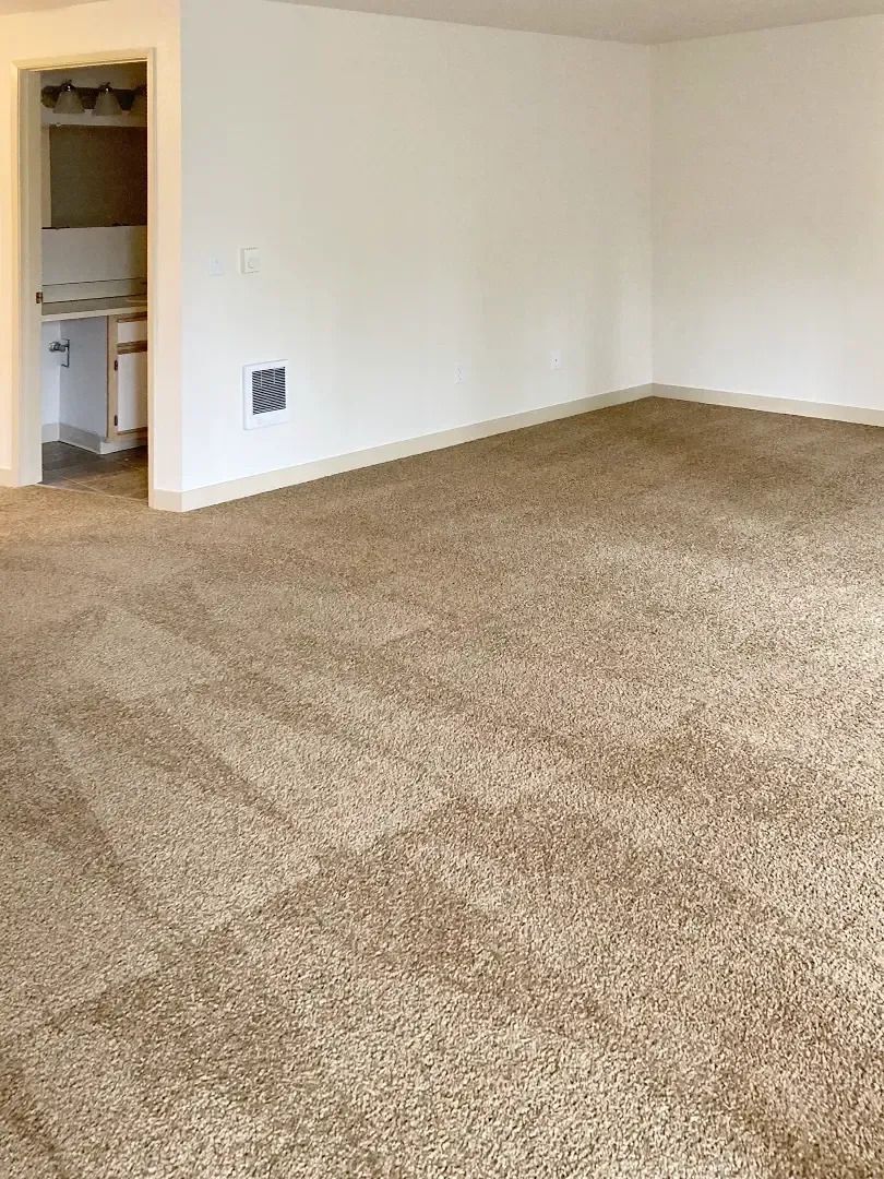 Empty beige-carpeted room with white walls and an open doorway to a bathroom/laundry area