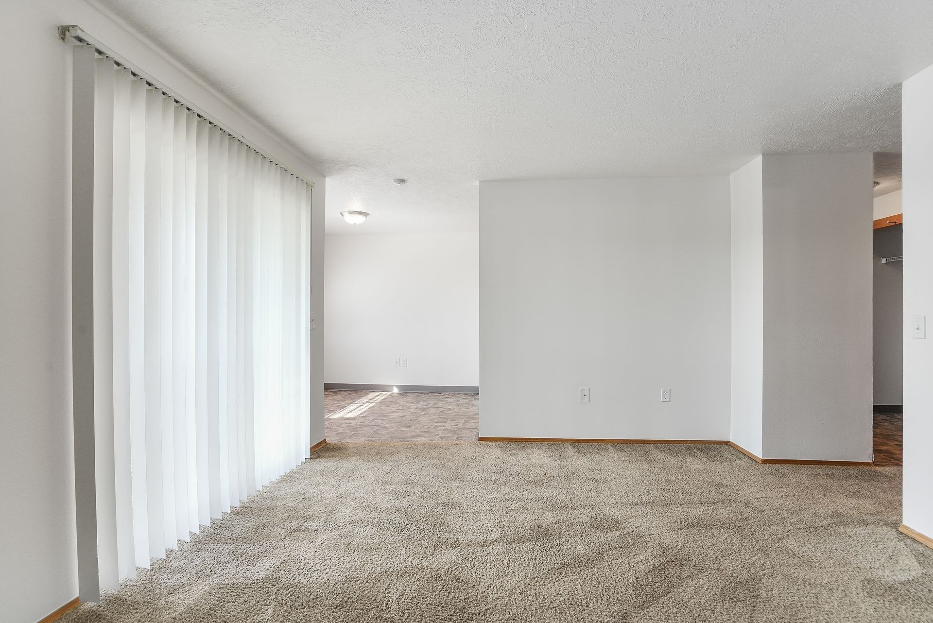 Empty carpeted living room with white walls, sliding glass door, and vertical blinds