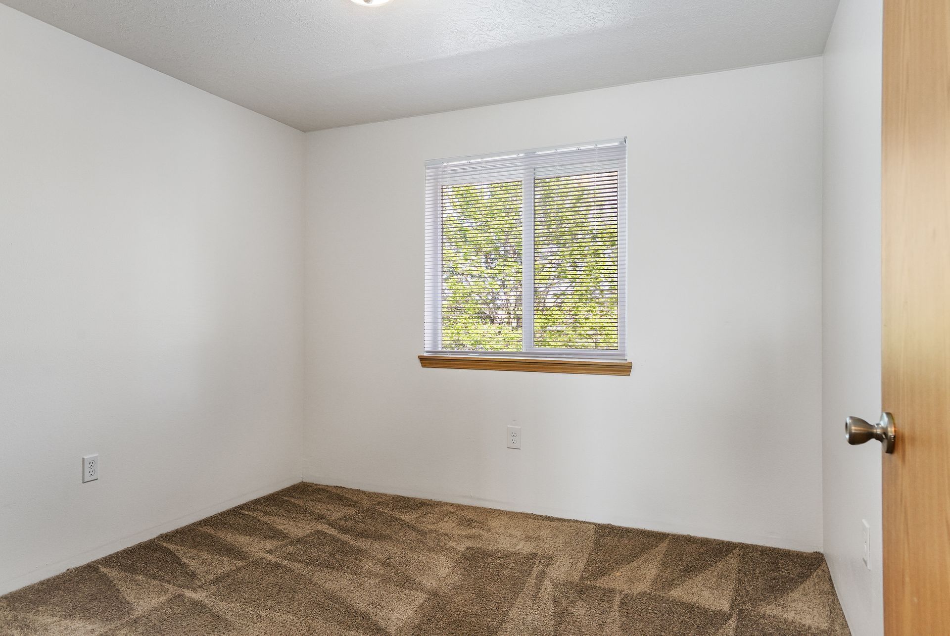 Empty white bedroom with brown carpet and a small window showing trees outside.