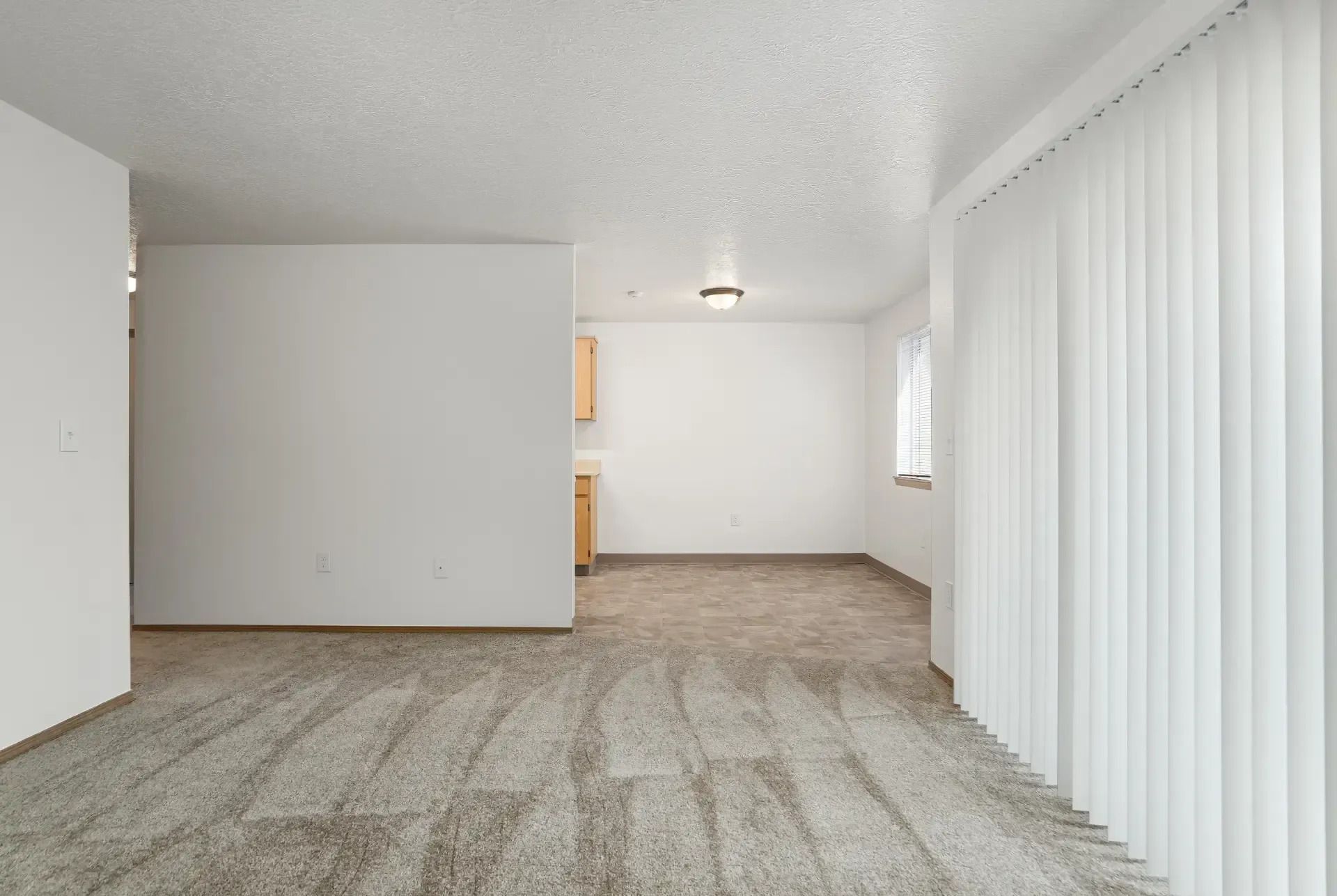 Empty carpeted living room with white walls and vertical blinds along one side
