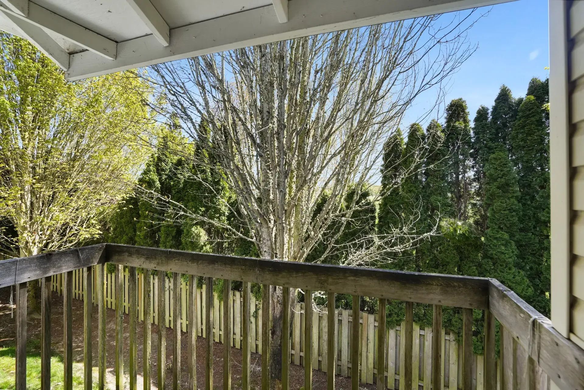 Covered porch overlooking leafy backyard with wooden railing and tall trees