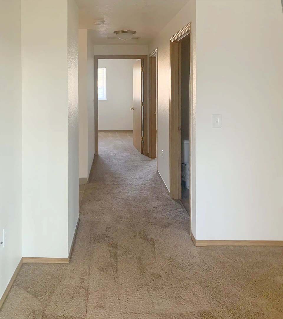 Empty carpeted hallway with white walls and doorways leading to bright rooms