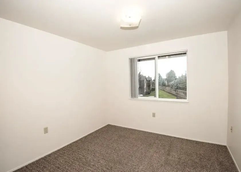 Empty carpeted bedroom with white walls and a window showing trees outside