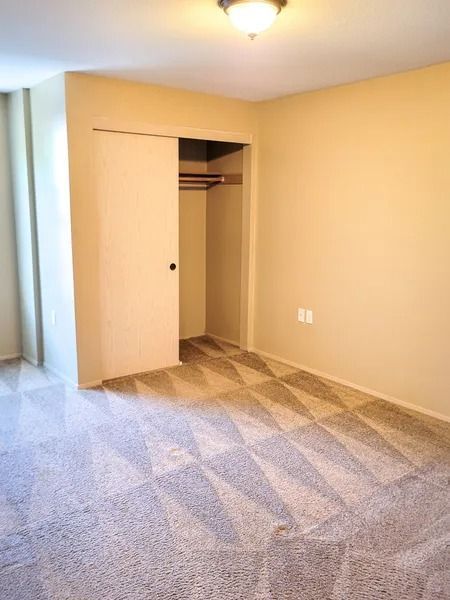 Empty beige bedroom with open closet and carpeted floor