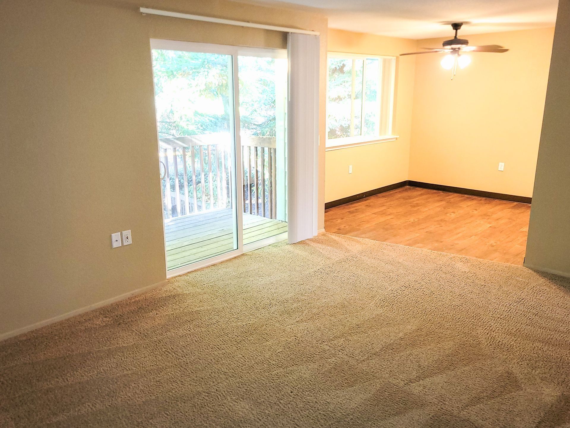 Empty carpeted living room with sliding glass doors, windows, and hardwood floor area with ceiling fan.
