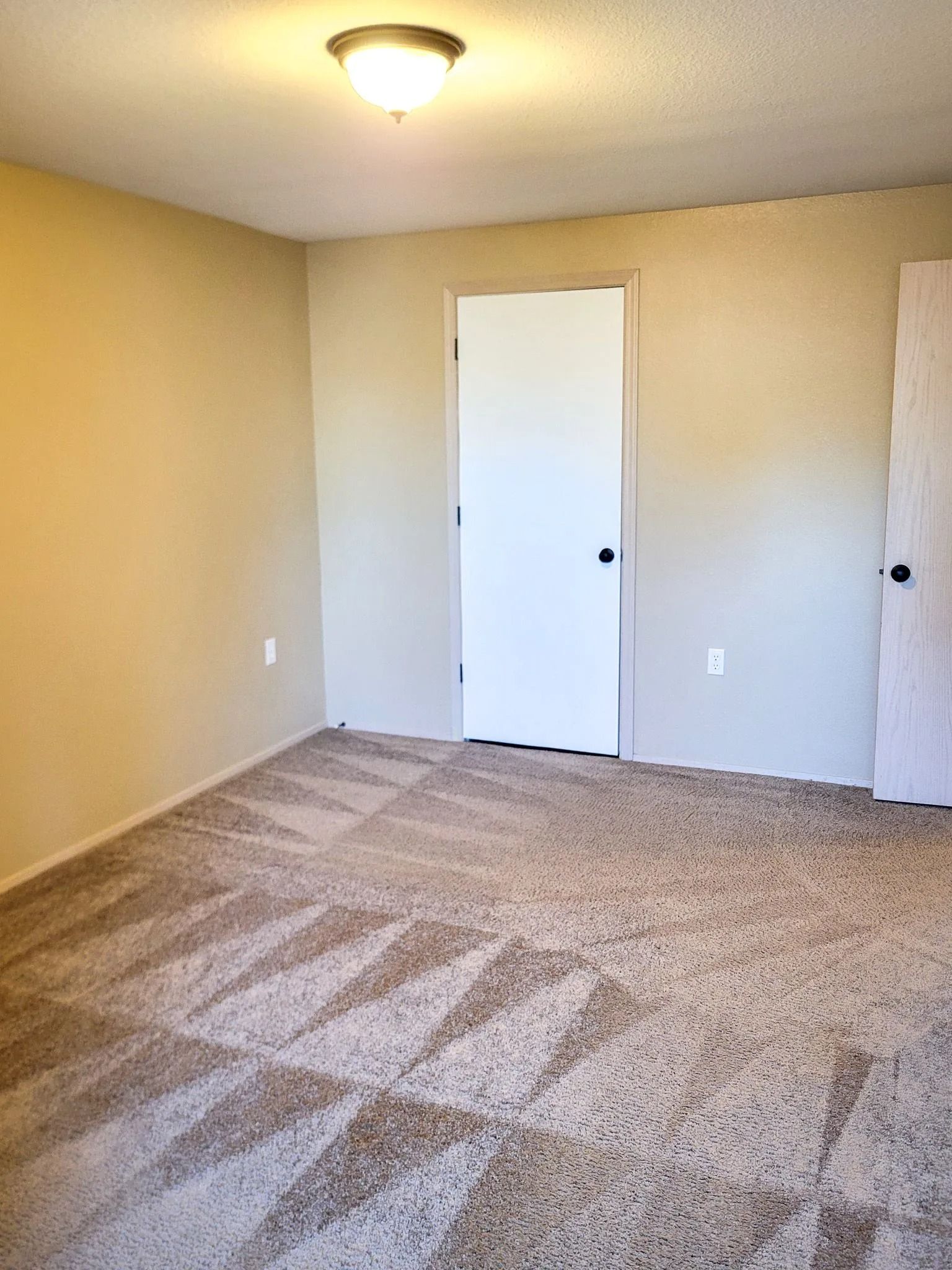 Empty beige bedroom with carpet, two white doors, and a ceiling light.