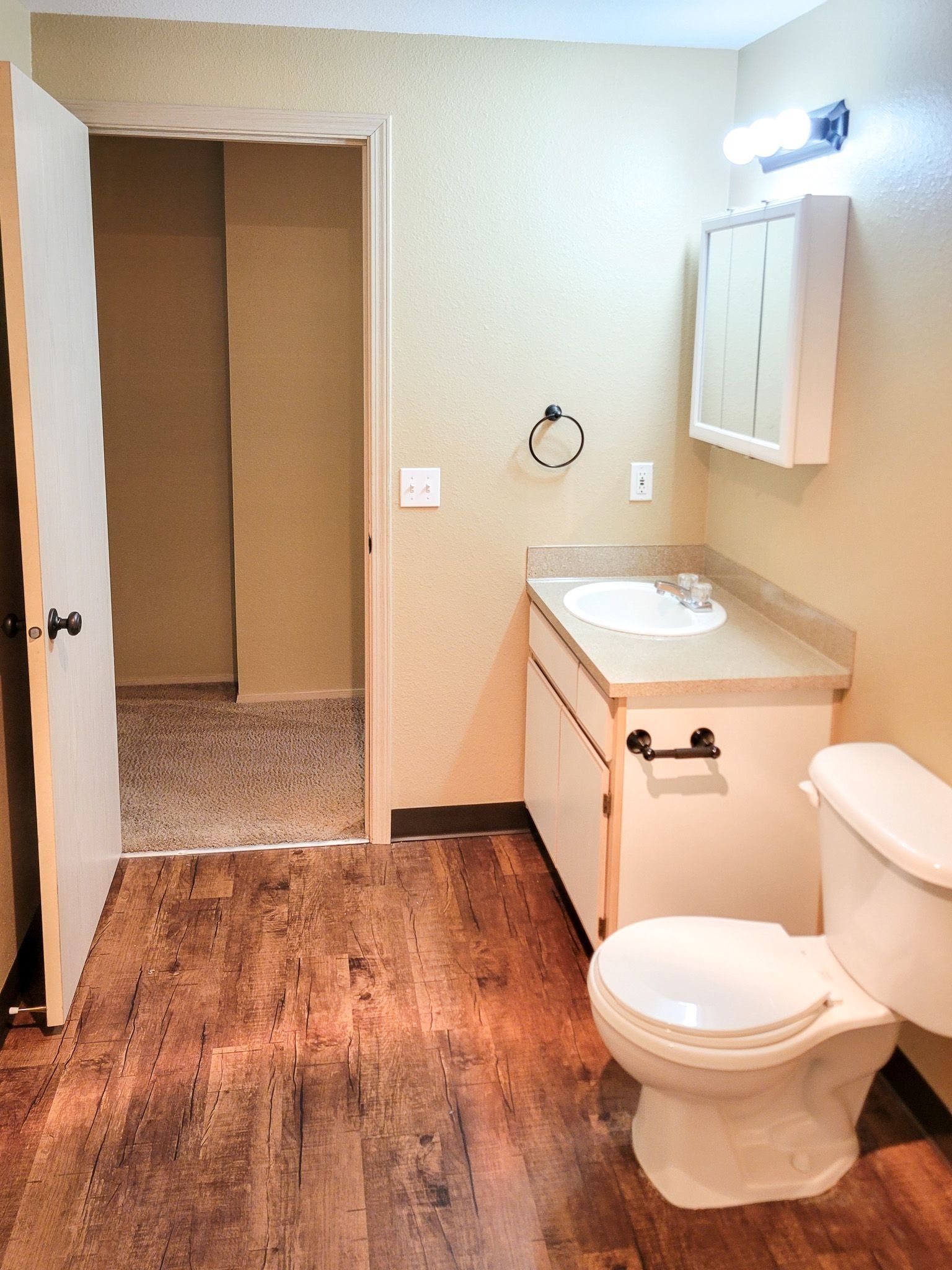 Small bathroom with toilet, vanity, mirror cabinet, and open door to carpeted hall.