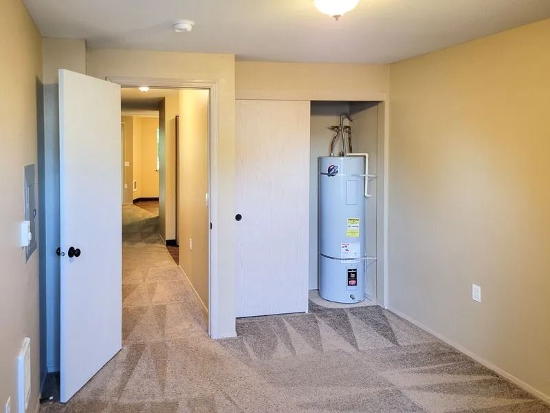 Empty bedroom with beige carpet, open closet, and water heater visible by the far wall.