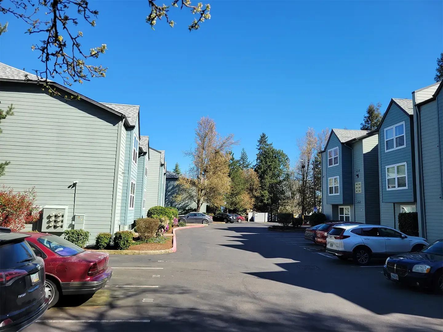 Apartment parking lot lined with cars and trees under a clear blue sky
