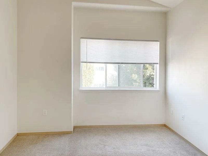 Empty beige bedroom with a window and closed blinds, white walls, and carpeted floor