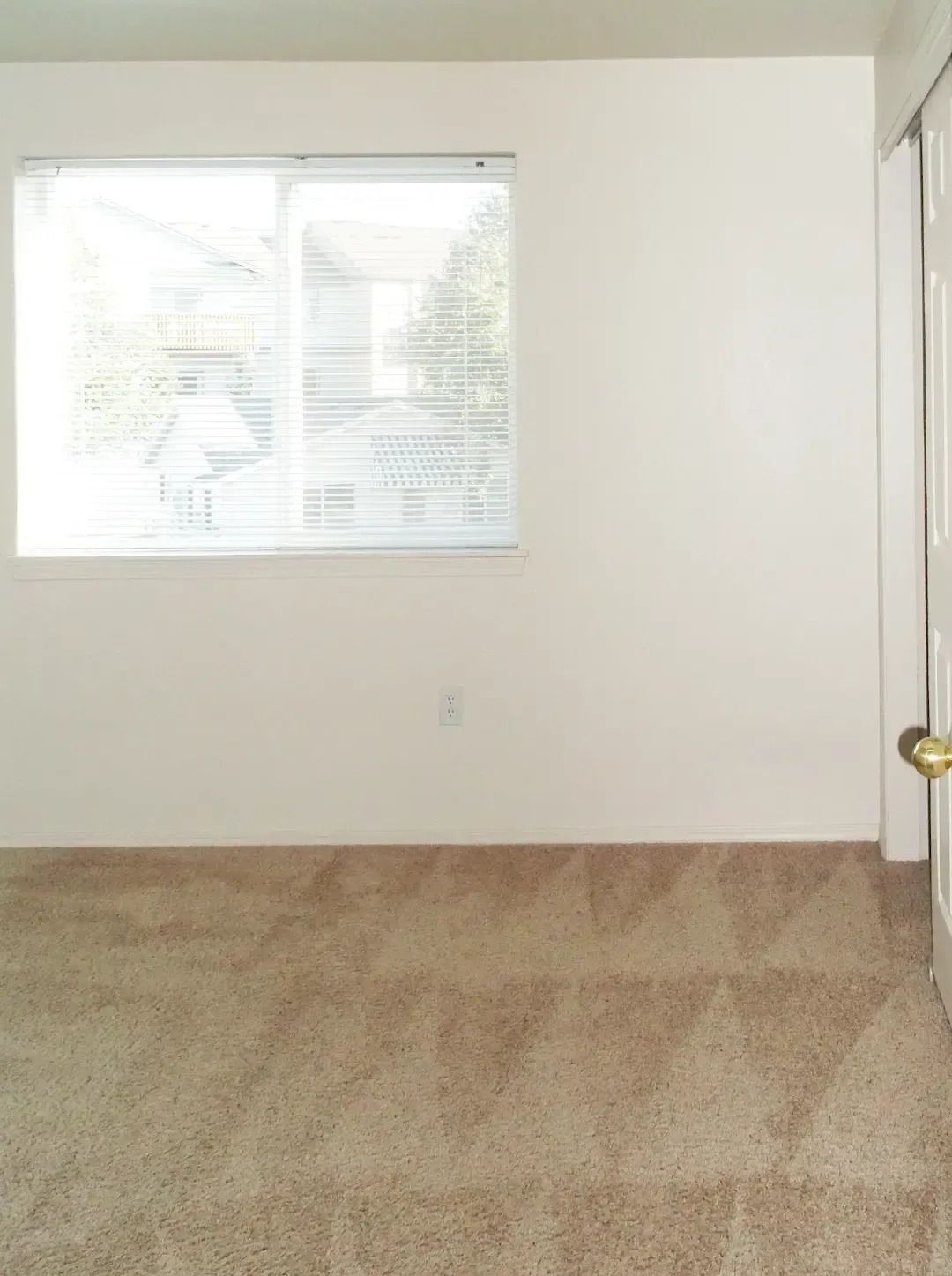 Empty beige-carpeted room with white walls and a window.