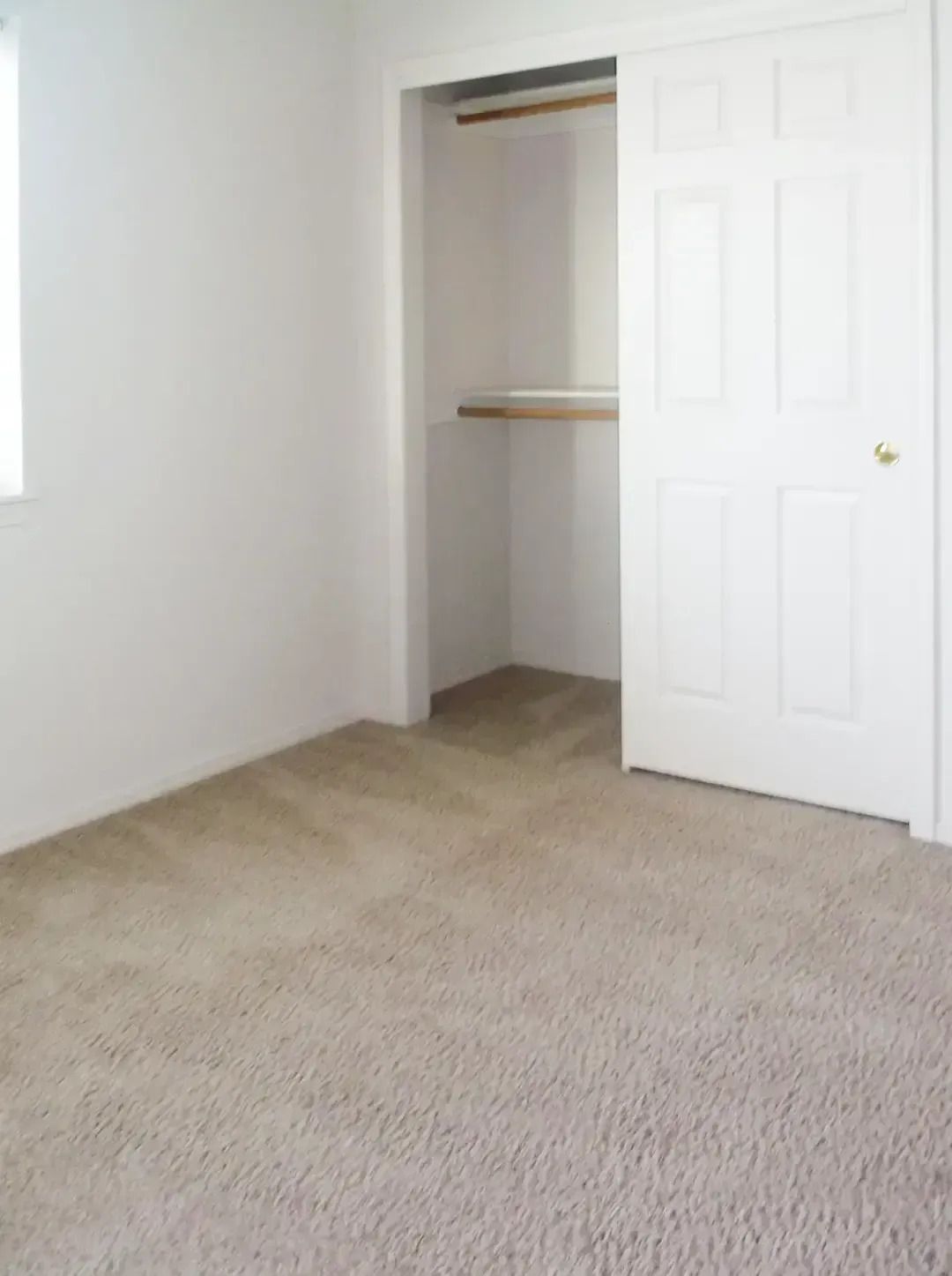 Empty beige-carpeted bedroom with white walls and open closet doors