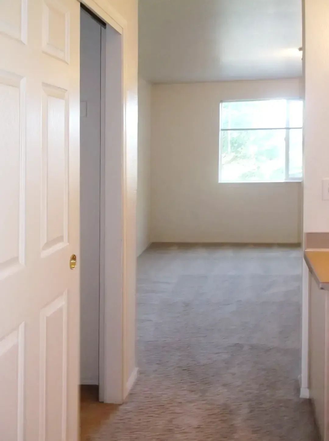 Empty beige bedroom or hallway with carpet and a window, viewed from a doorway.