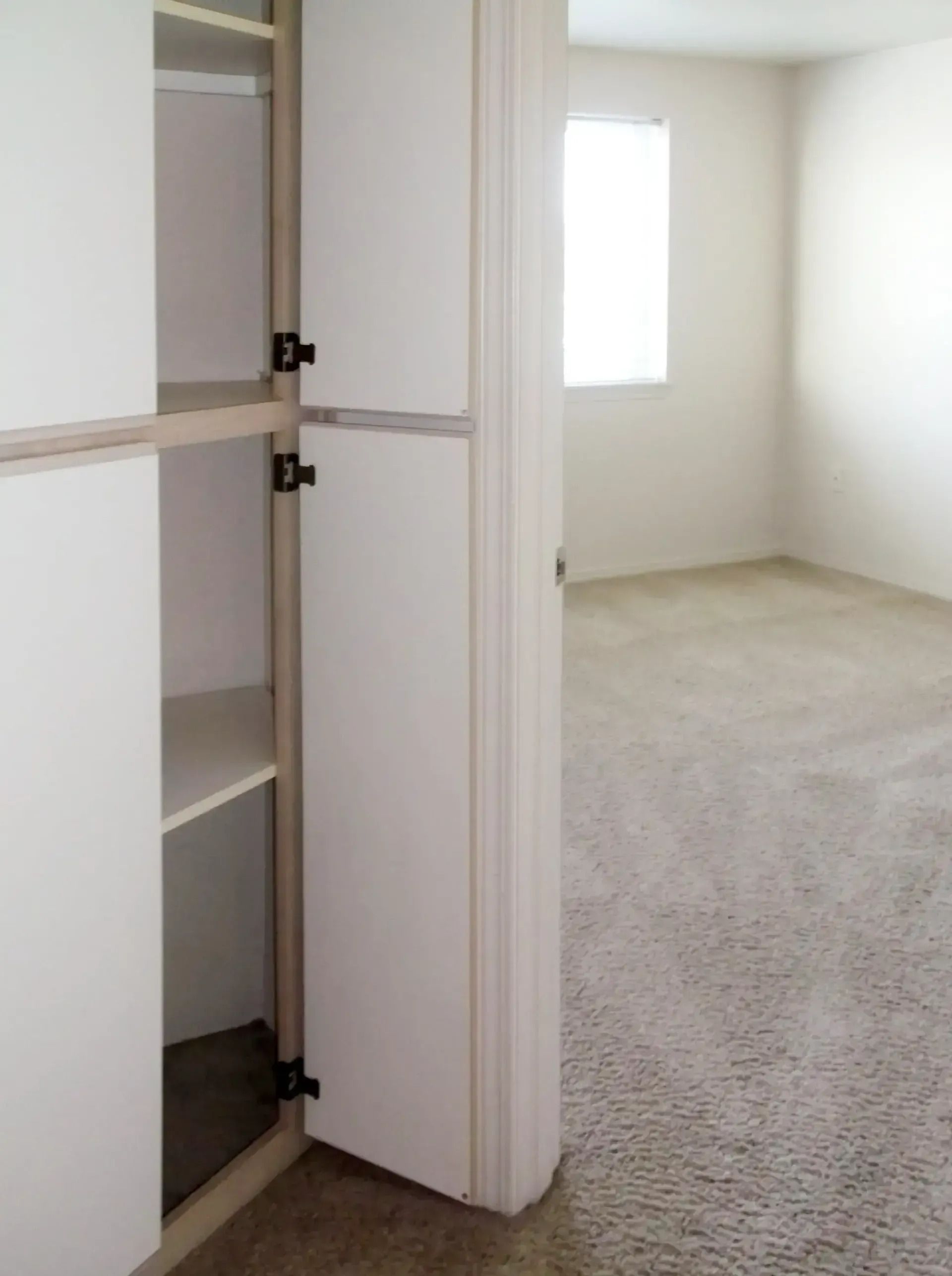 Open closet door beside a carpeted empty room with a bright window.