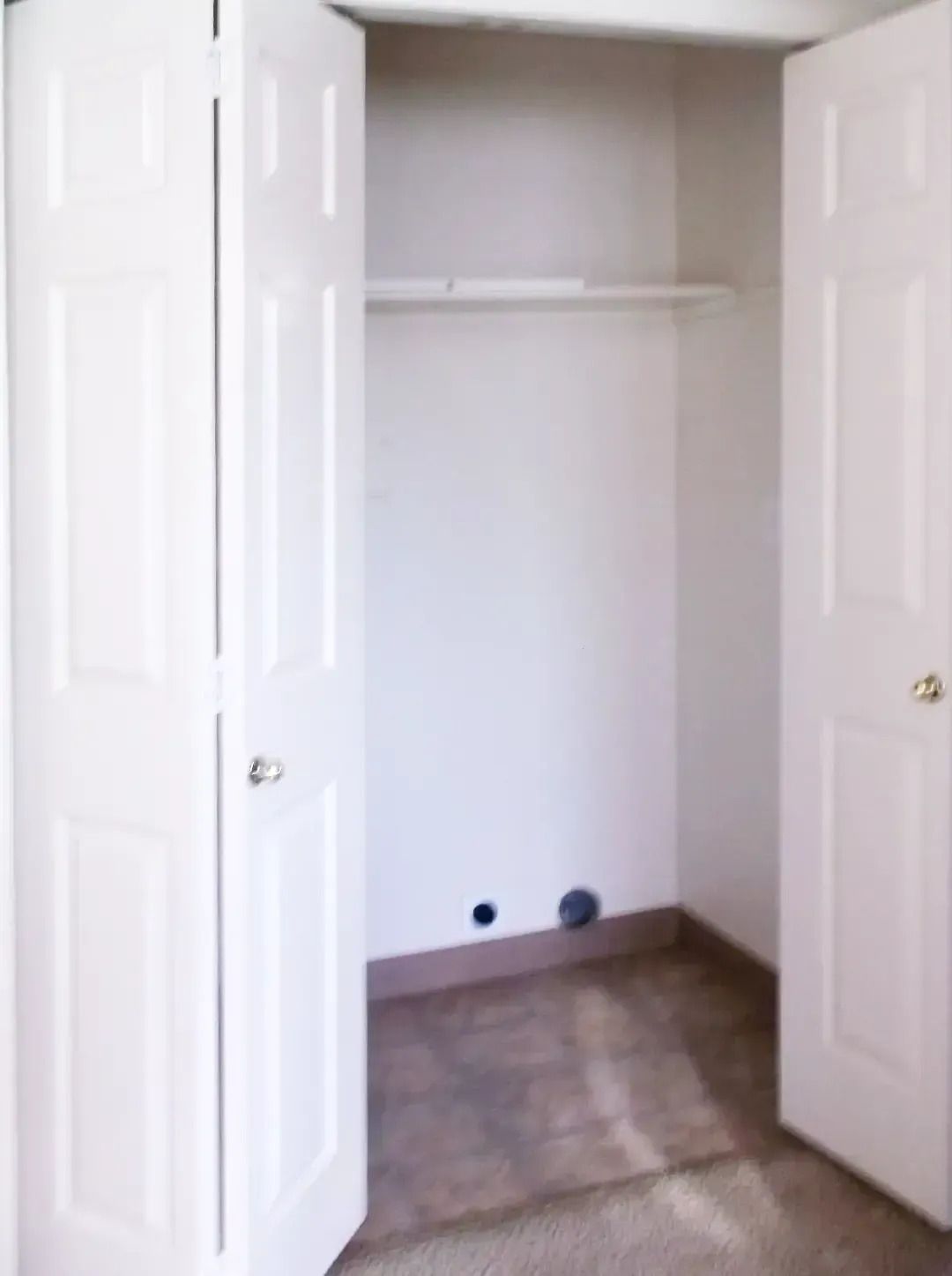 Empty white closet with double doors open and a hanging shelf inside, on beige carpet.