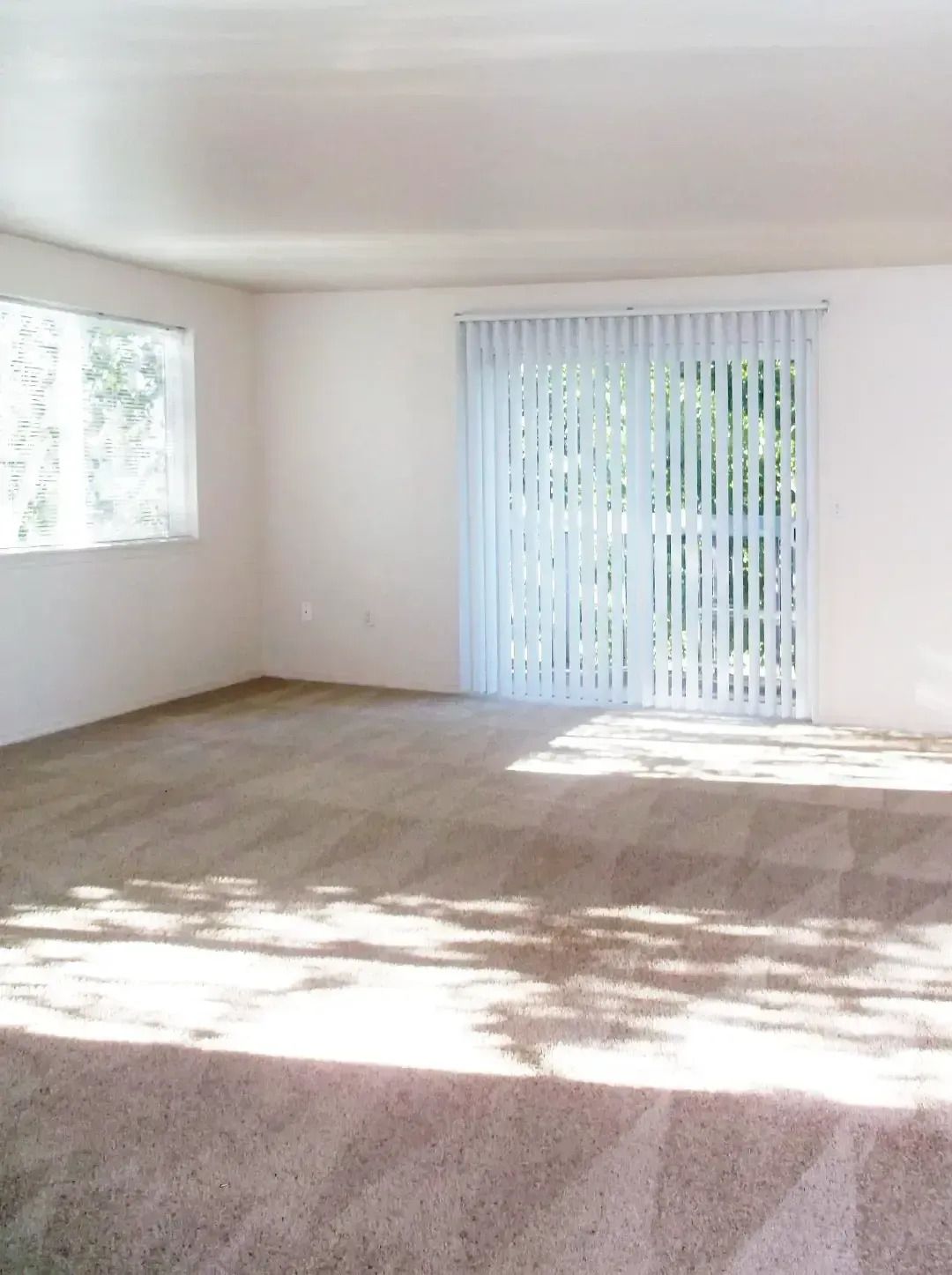 Empty carpeted living room with white walls, a window, and vertical blinds letting in sunlight