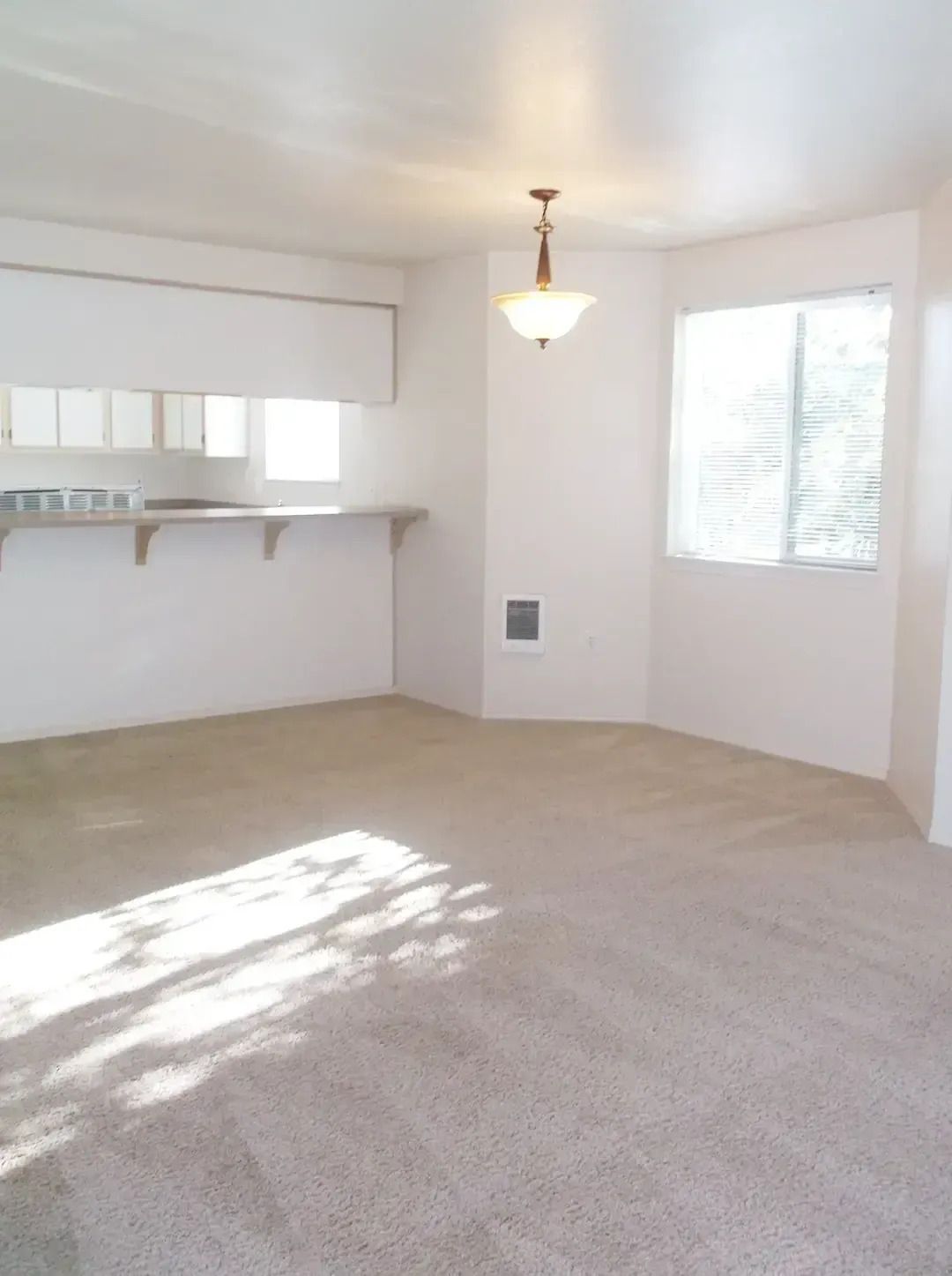 Empty carpeted living room with white walls, a window, pass-through opening, and ceiling light.