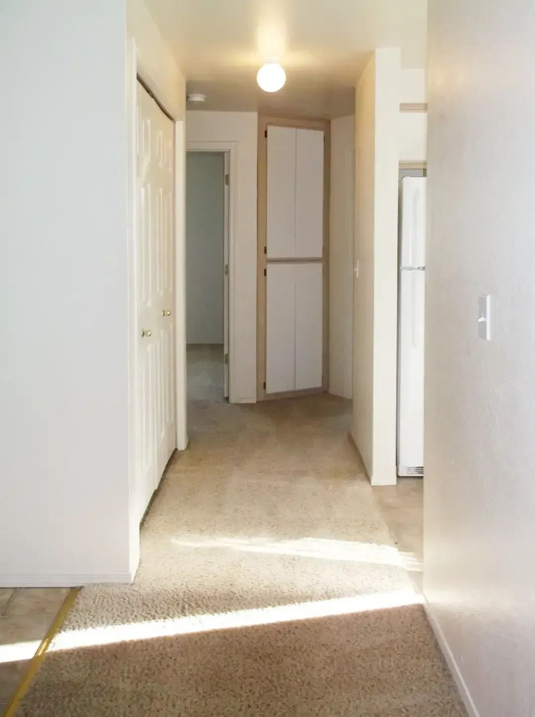 Bright hallway with white walls, beige carpet, and sunlight streaming across the floor.
