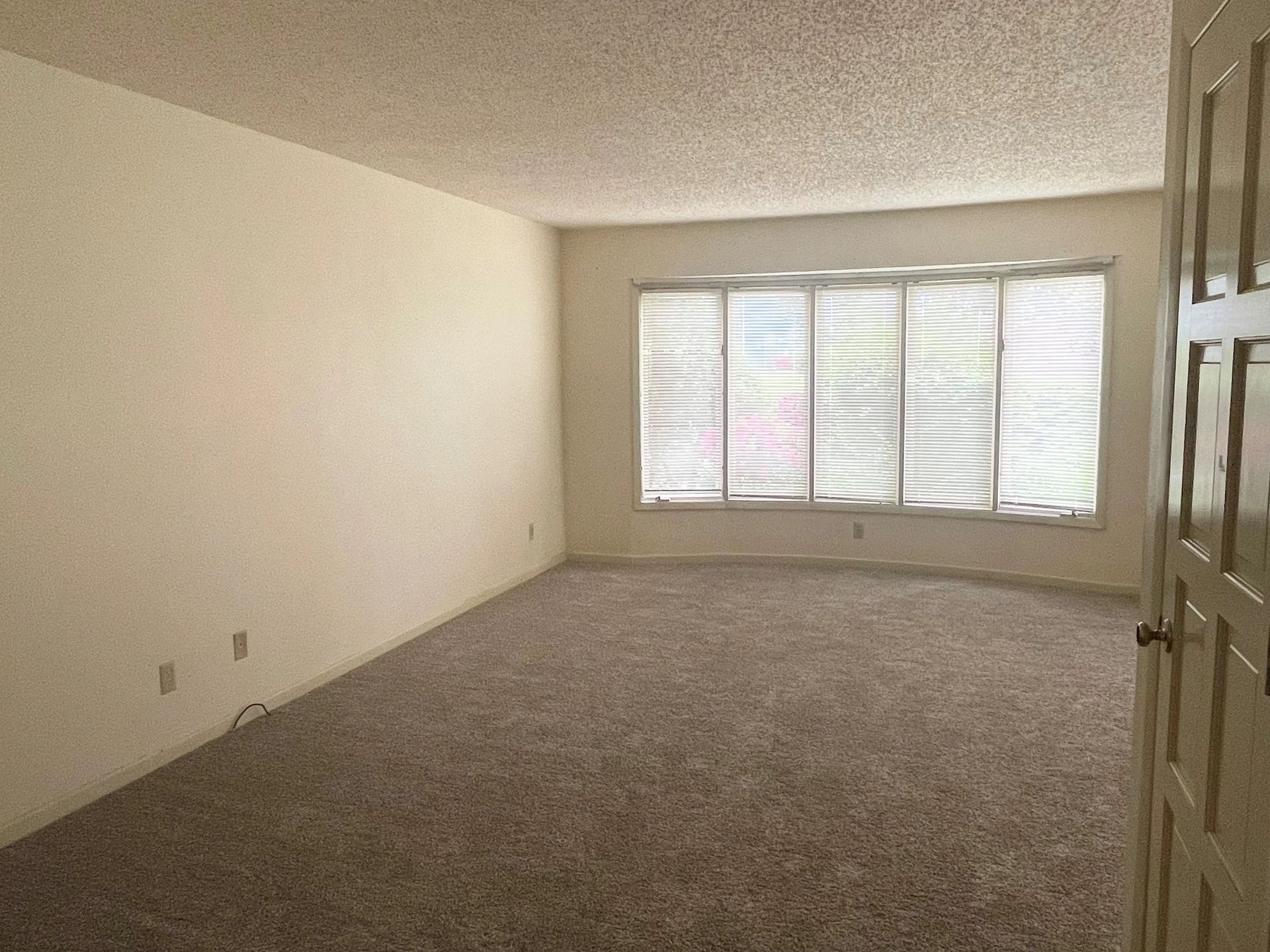 Empty beige carpeted living room with white walls and a large window with blinds