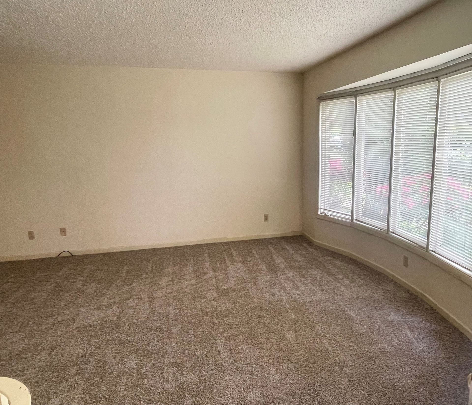 Empty beige carpeted room with large windows and white blinds letting in daylight