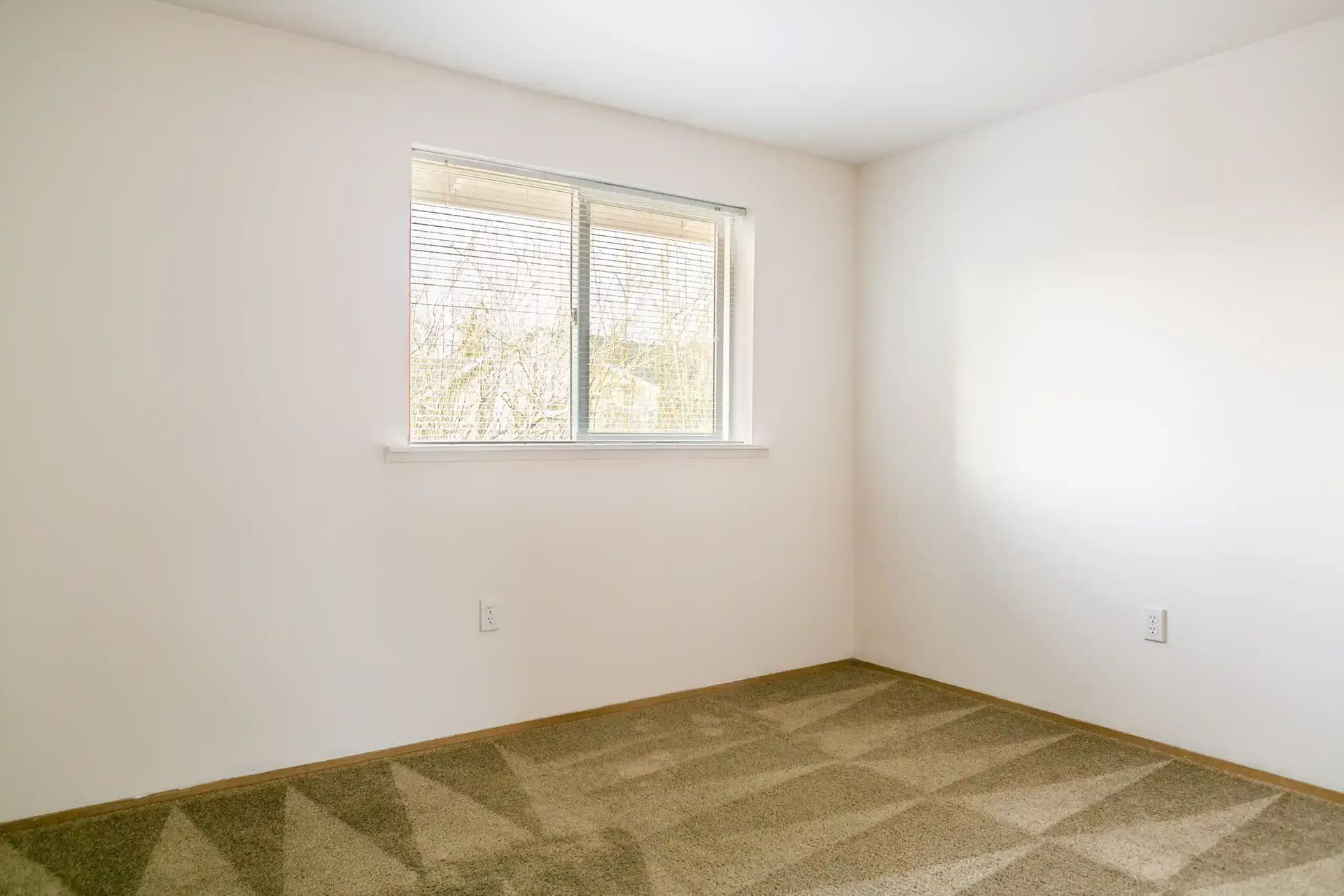 Empty carpeted room with white walls and a small window letting in daylight