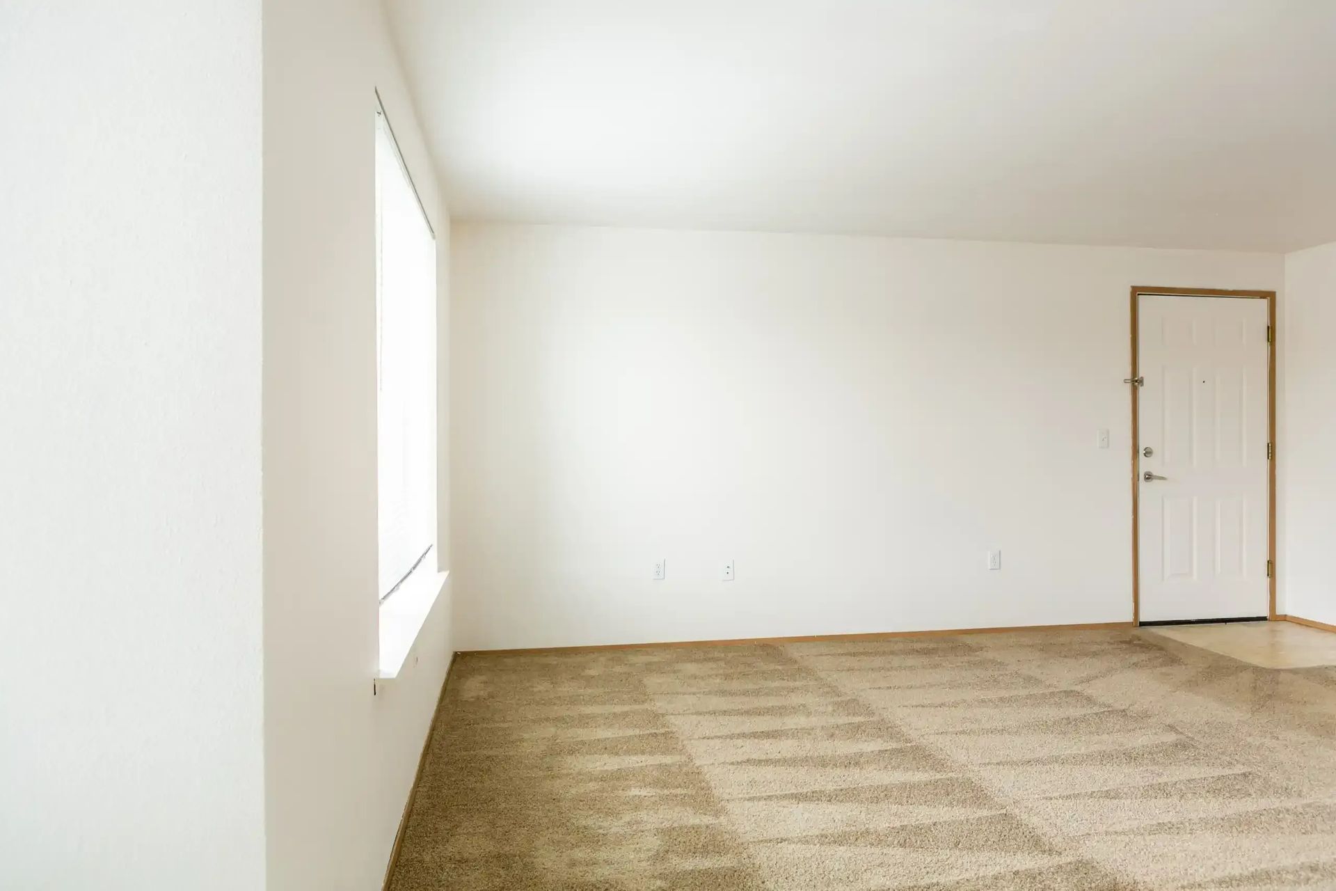 Empty beige room with carpet, a window on the left, and a closed door on the right.