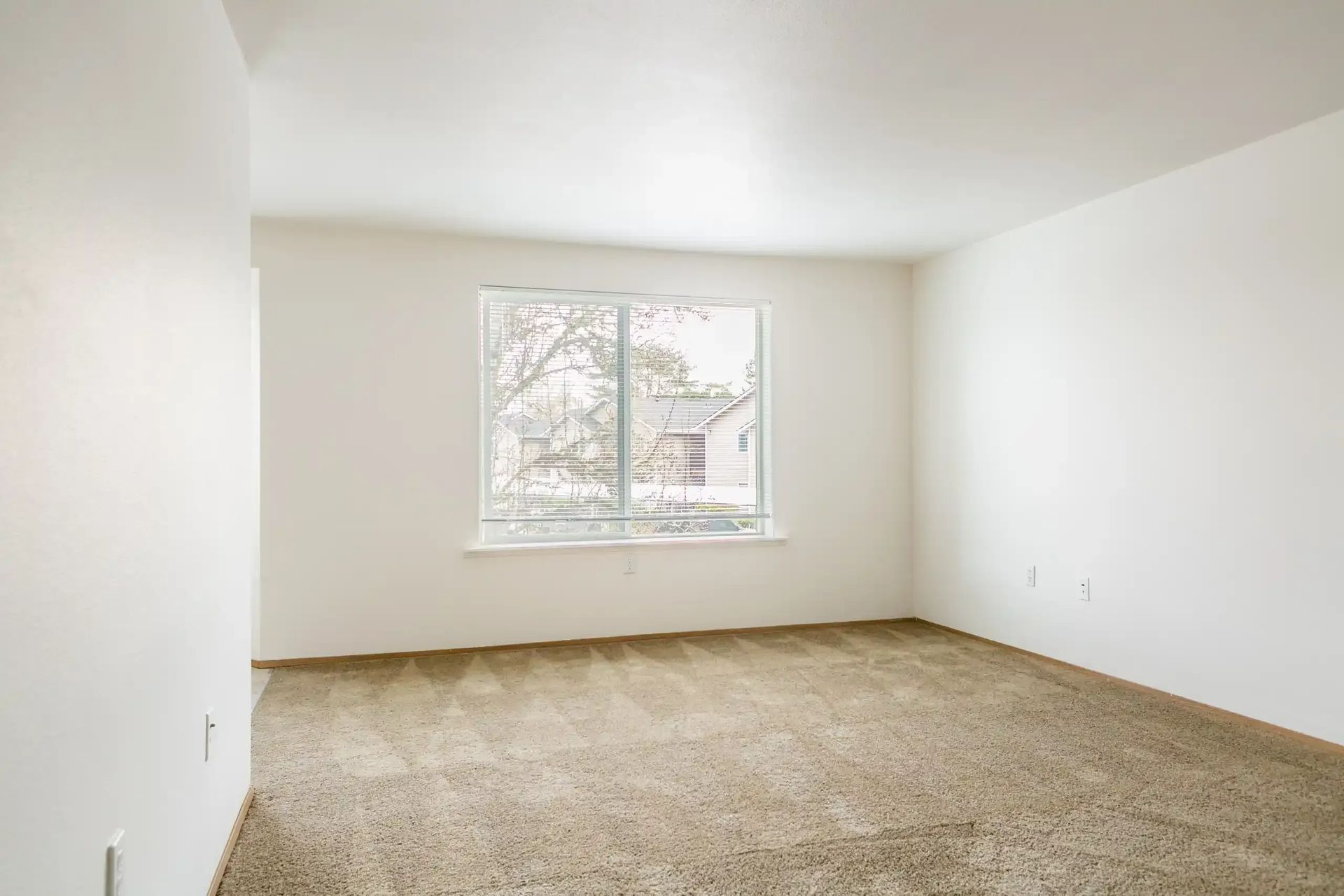 Empty beige bedroom with carpet and a window