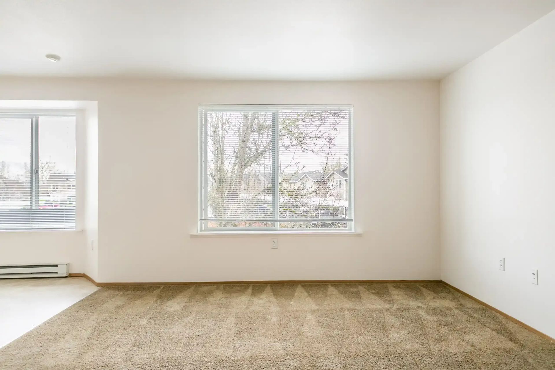 Empty beige room with carpet, two windows, and white walls.