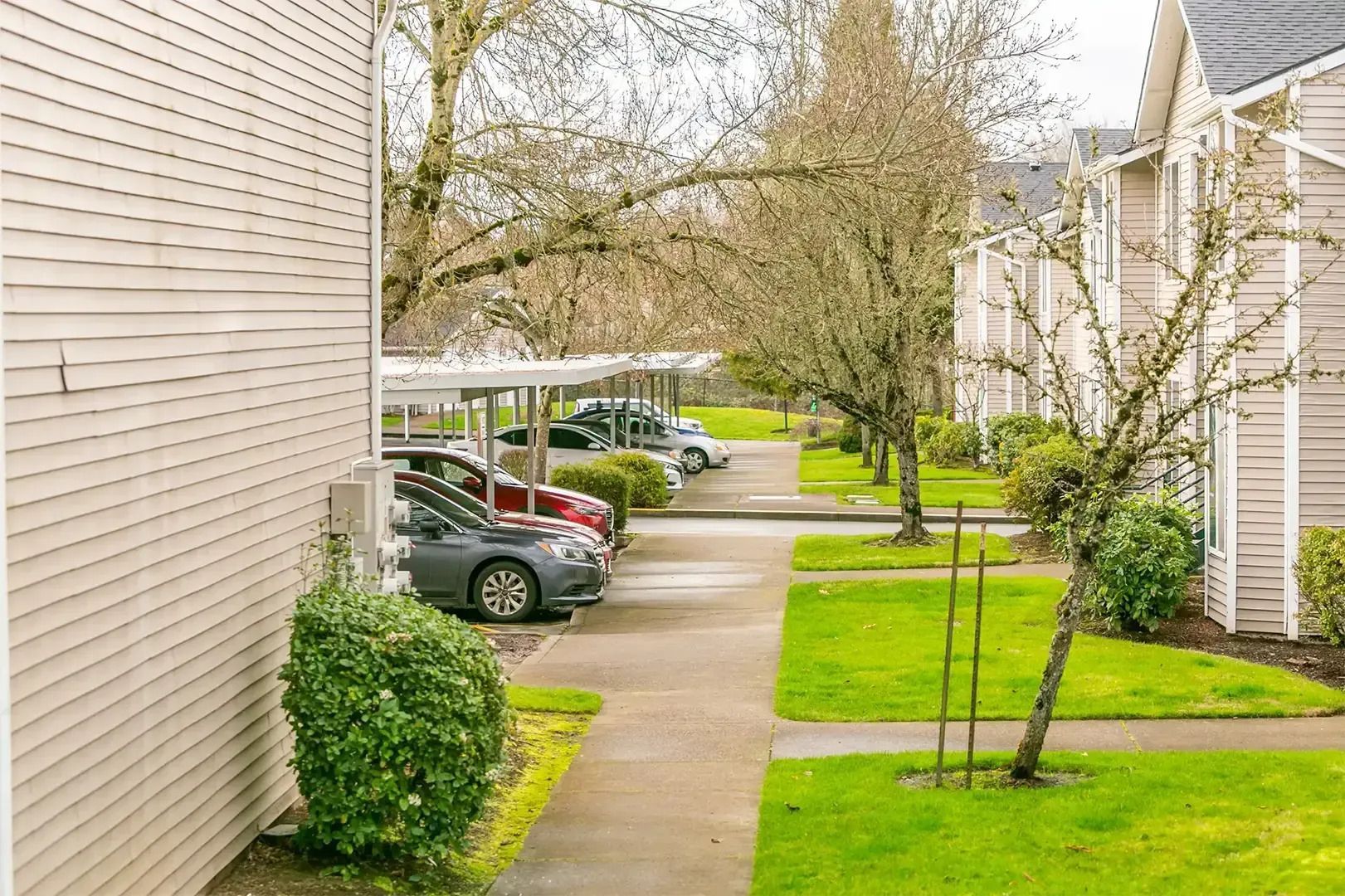 Apartment parking lot with cars, concrete walkway, and green lawns between beige buildings