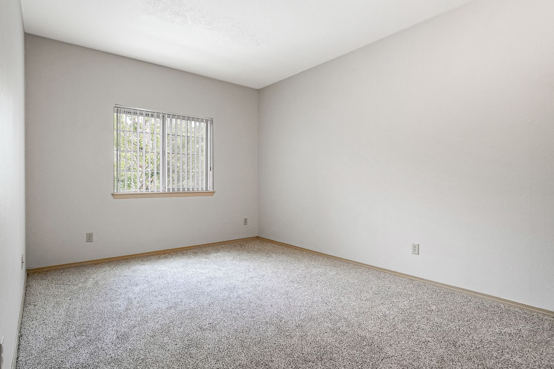Empty beige carpeted room with white walls and a window with blinds