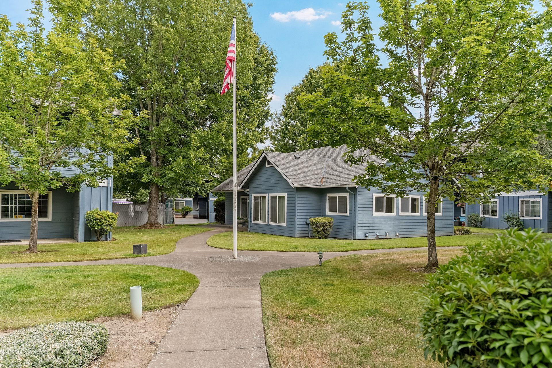 Small blue house with a front yard, walkway, and American flag amid trees