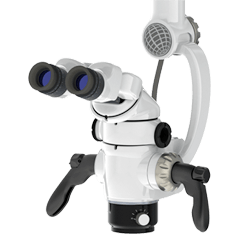 Global — Endodontic Referral in Mullica Hill, NJ Global — Endodontic Referral in Mullica Hill, NJ