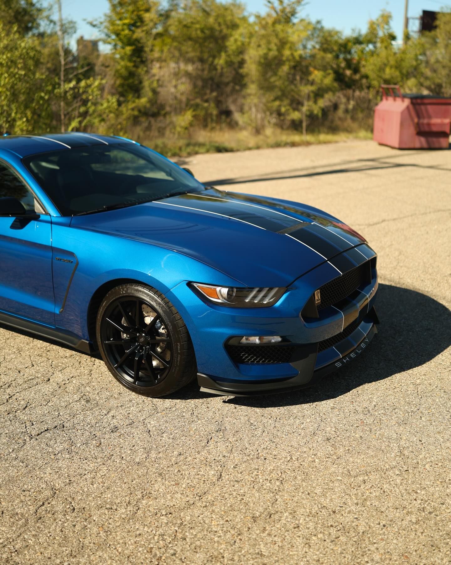 Blue Shelby Mustang with PPF, showcasing a sleek finish.