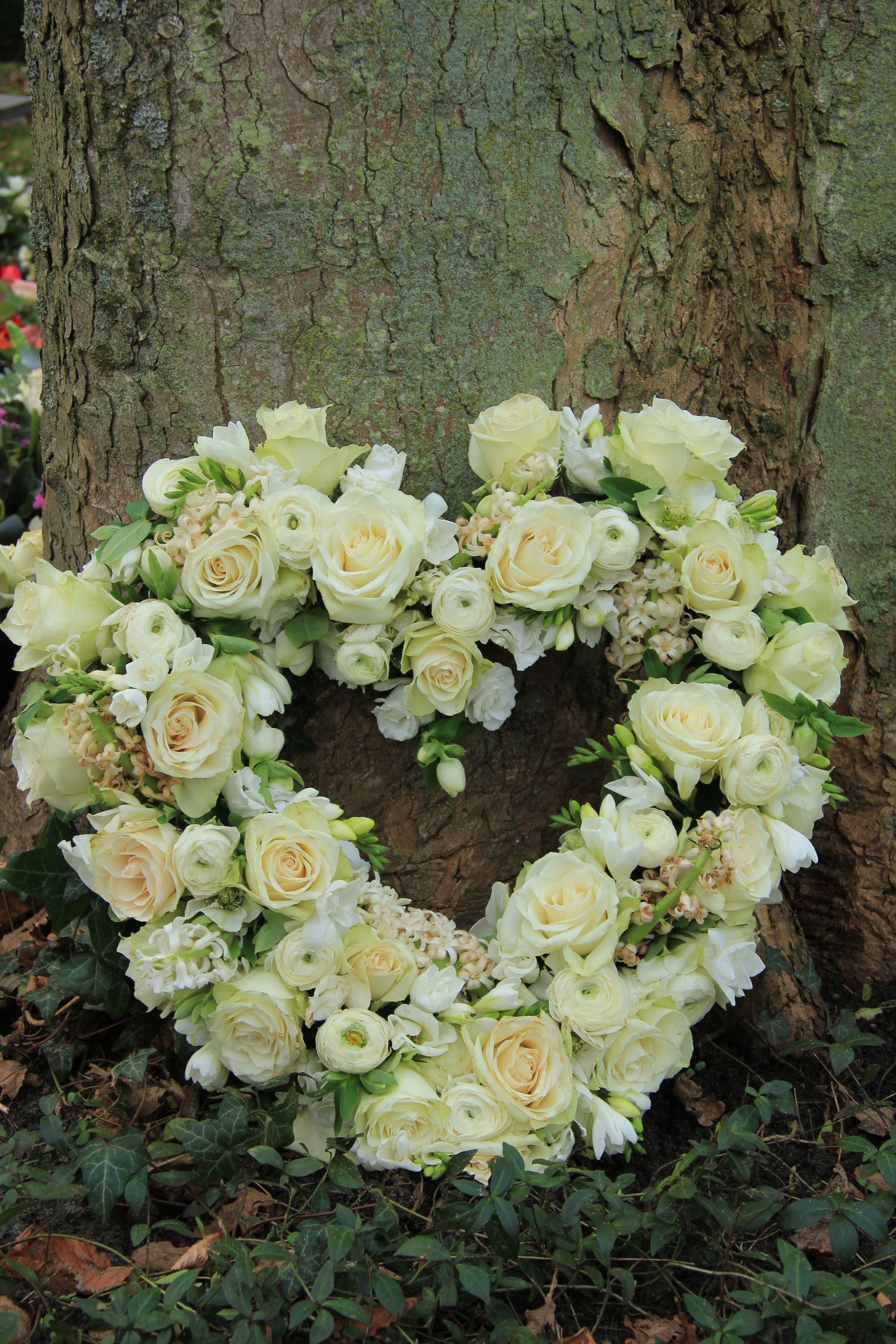 A heart-shaped funeral wreath made of light yellow roses and white orchids arranged on a green base.