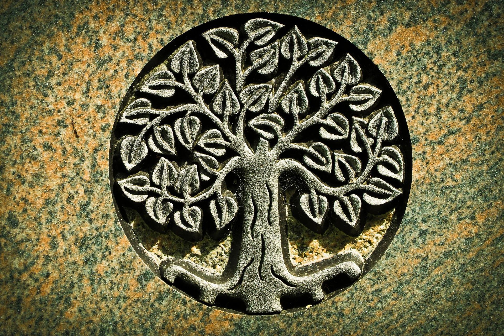 Circular tree-of-life emblem on a mottled orange and green background