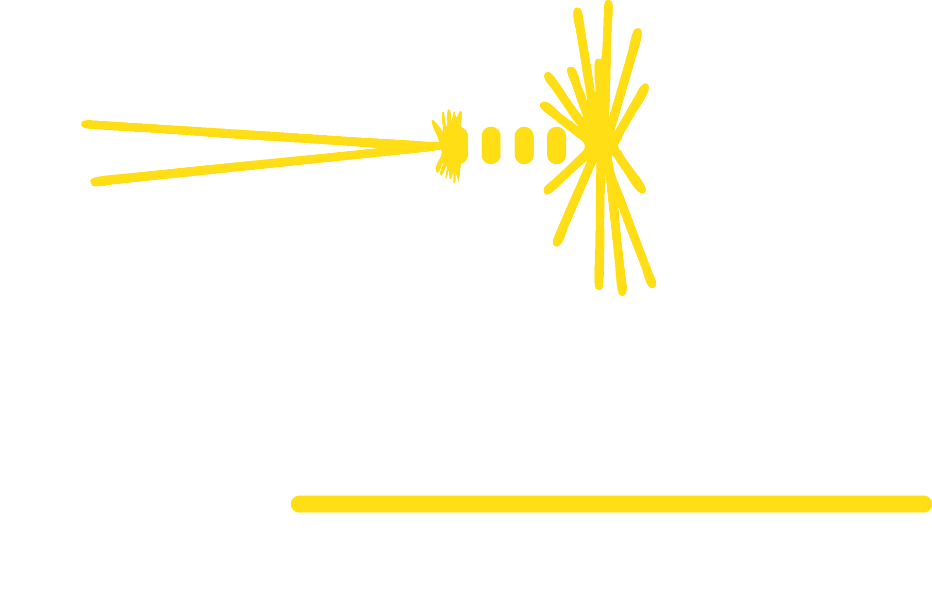 Nelson's Guides & Flies Logo