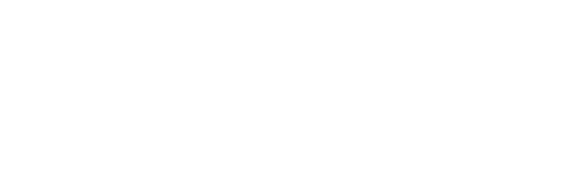 Blank white horizontal rectangle with a thin black border, centered on a white background