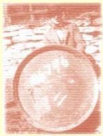 A red sketch of a large round fruit with a stem on a textured background