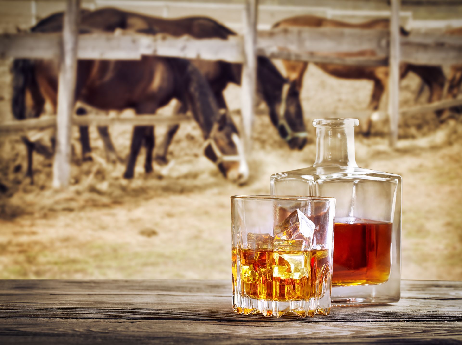 Whiskey decanter and glass in front of horses in a rustic stable