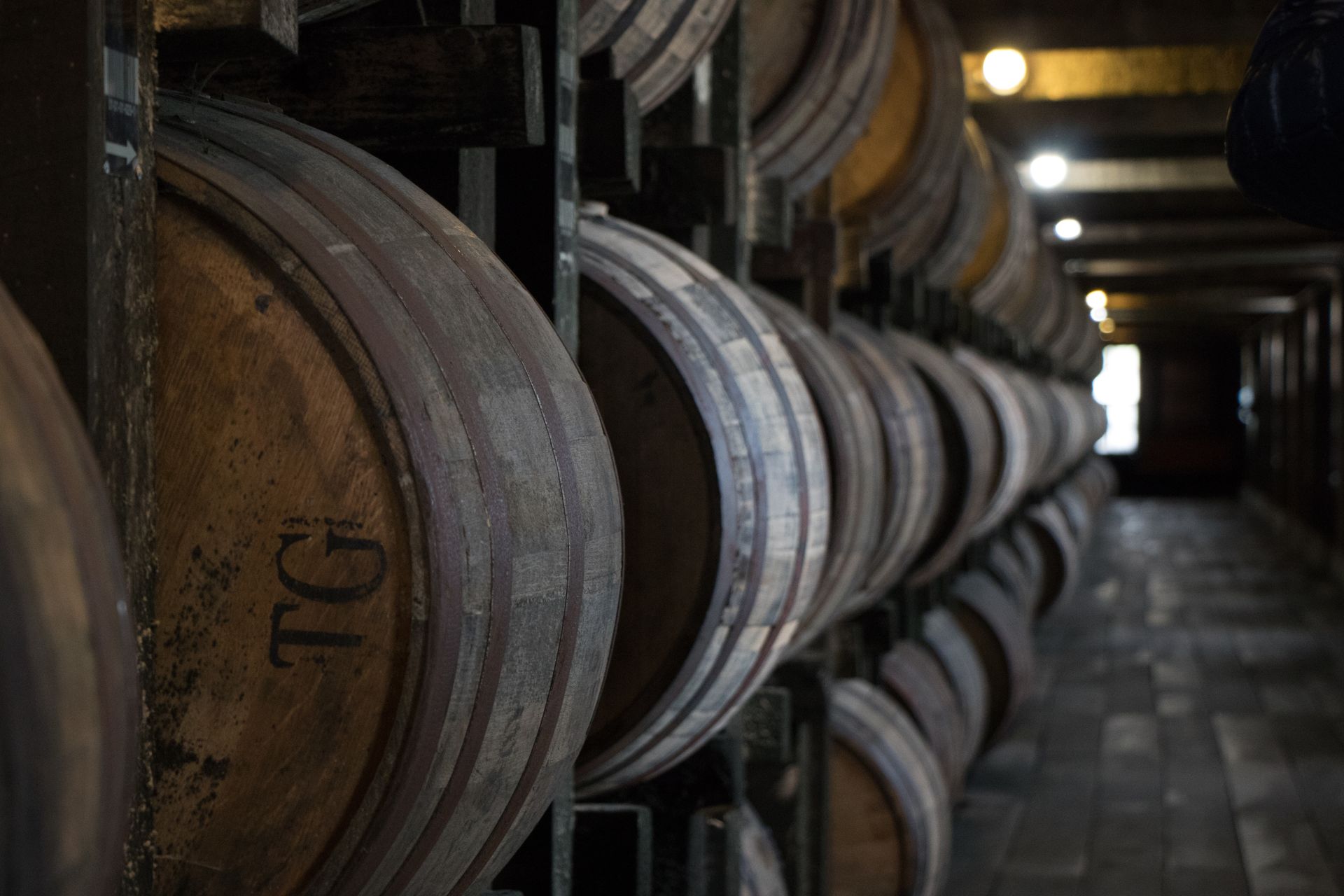 Row of wooden barrels in a dim wine cellar, lit by warm overhead lights.